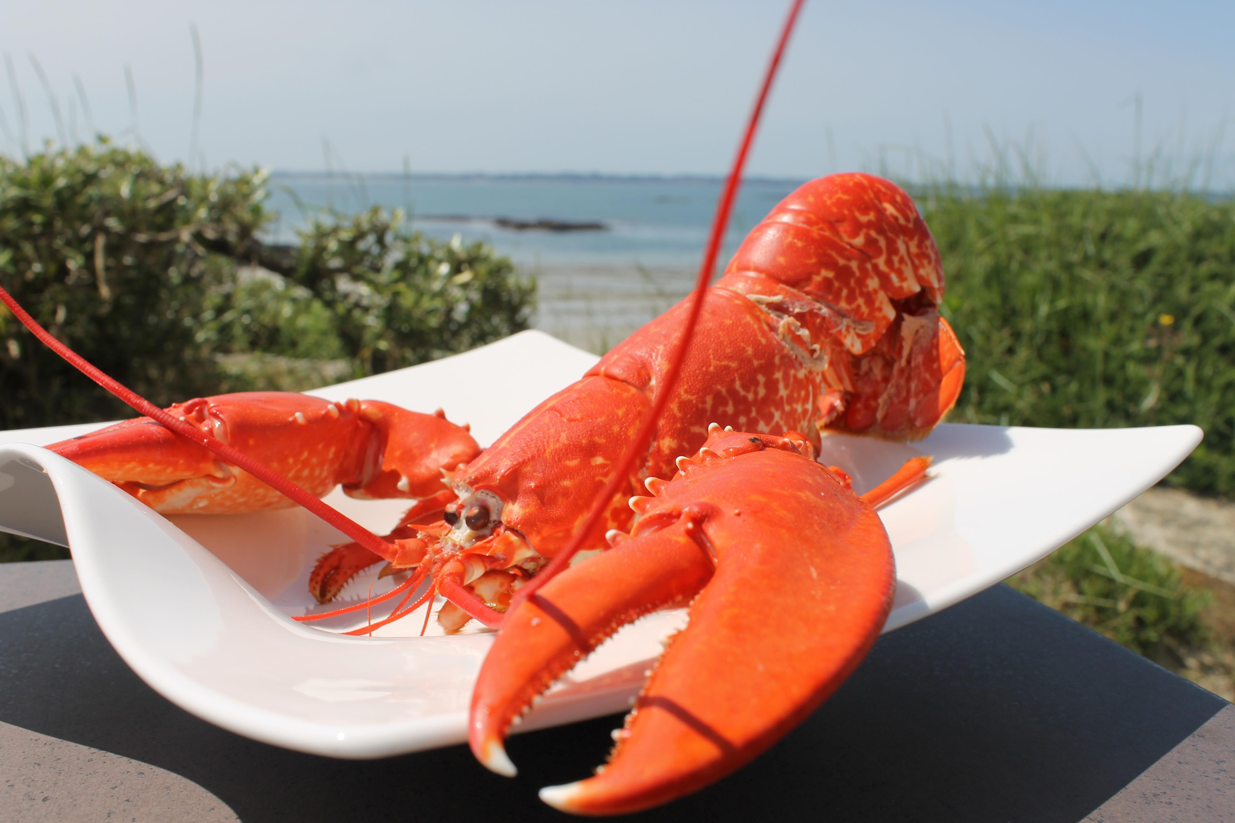 Logis Hotel & Restaurant Les Mouettes - Larmor Plage, Proche De Lorient ภายนอก รูปภาพ