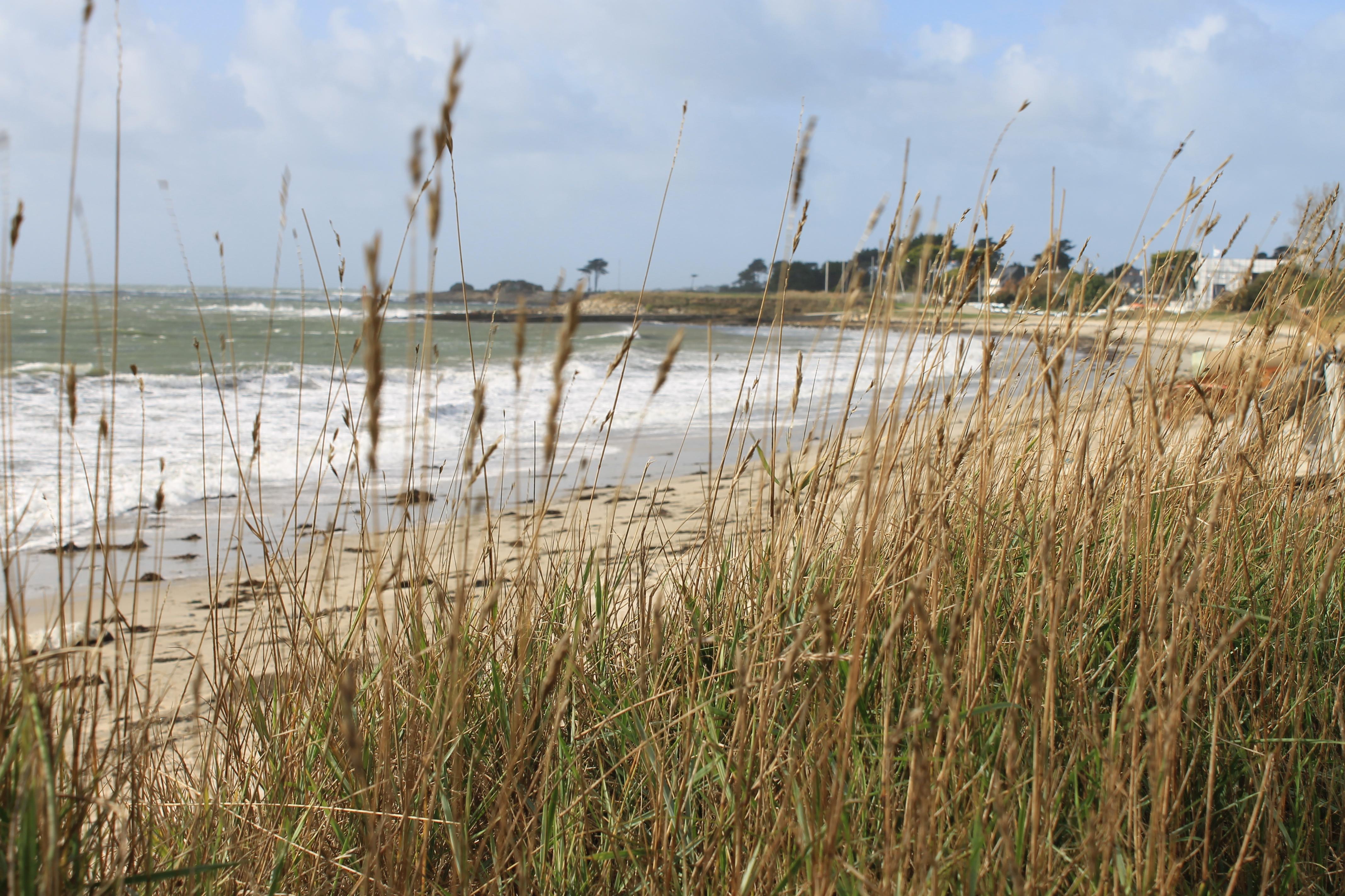 Logis Hotel & Restaurant Les Mouettes - Larmor Plage, Proche De Lorient ภายนอก รูปภาพ