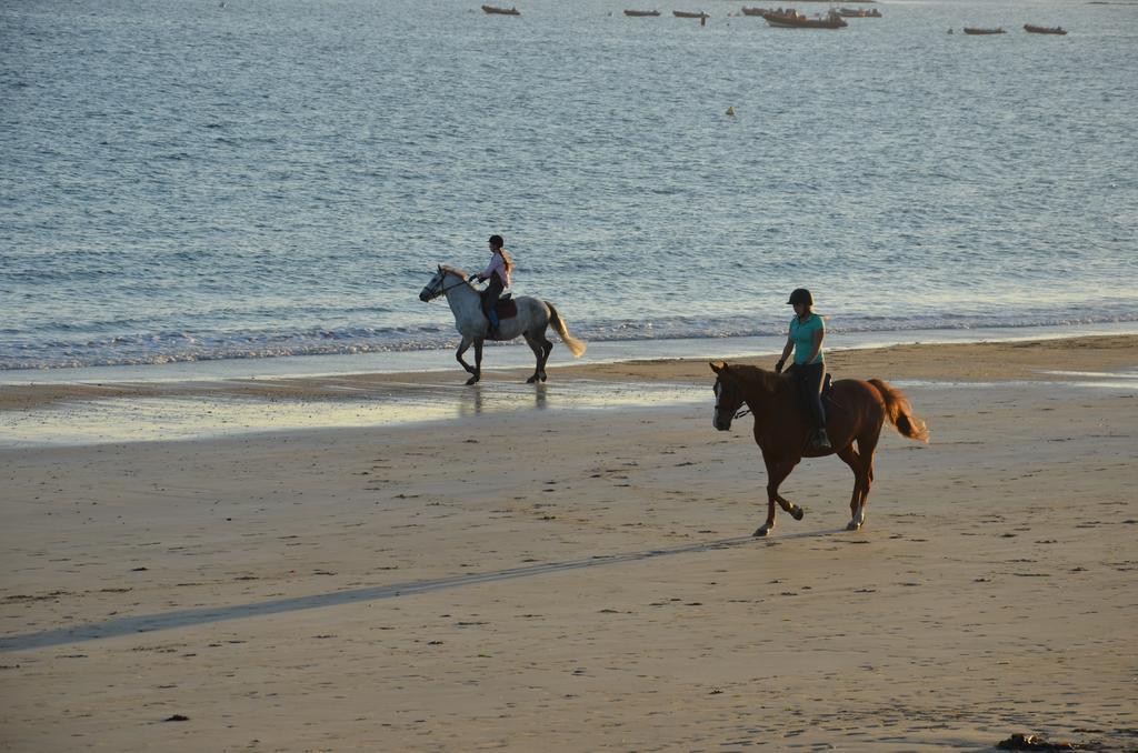 Logis Hotel & Restaurant Les Mouettes - Larmor Plage, Proche De Lorient ภายนอก รูปภาพ