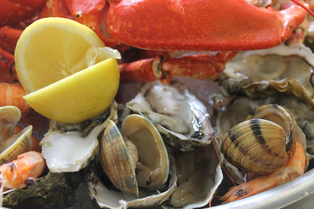 Logis Hotel & Restaurant Les Mouettes - Larmor Plage, Proche De Lorient ภายนอก รูปภาพ